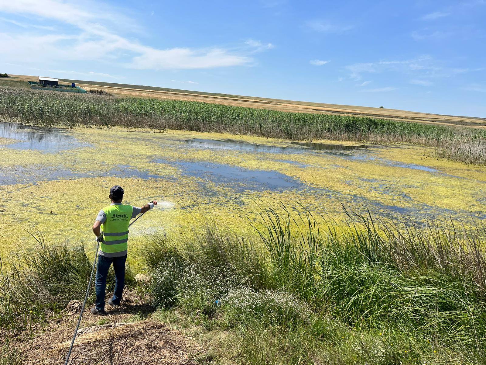 LARVA İLAÇLAMA ÇALIŞMASI